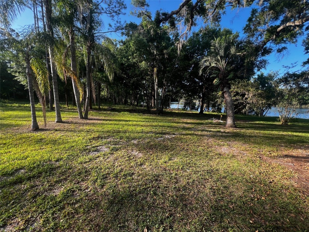 Newberger Lutz FL 33549 TB8388052 image3