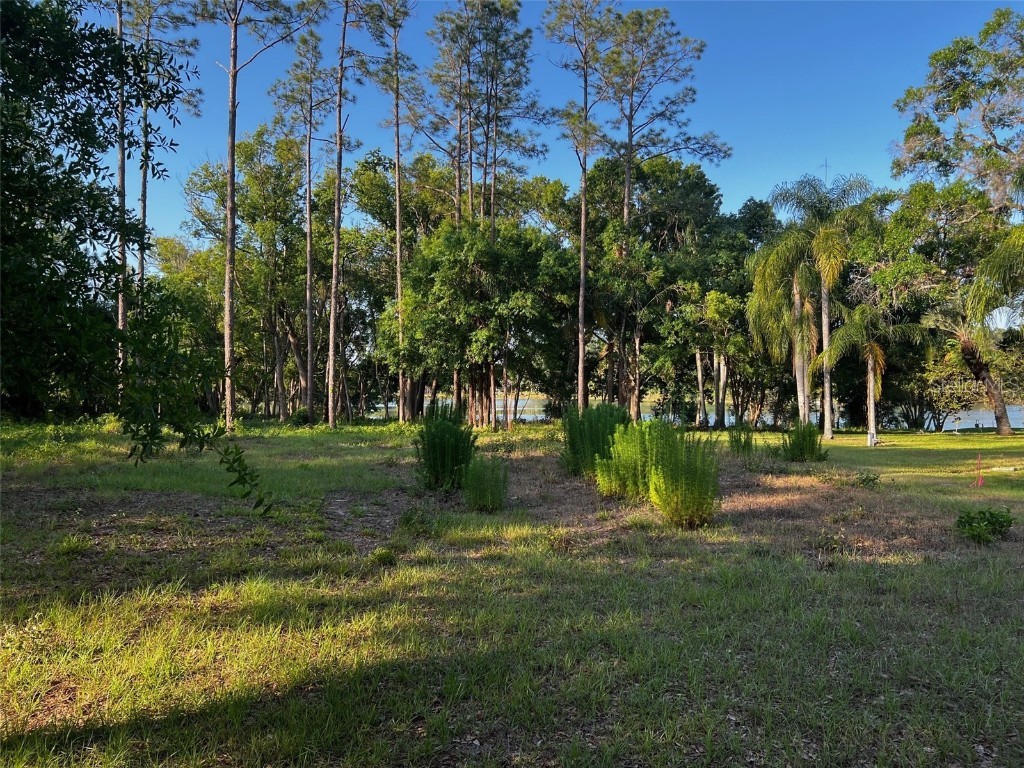 Newberger Lutz FL 33549 TB8388052 image4