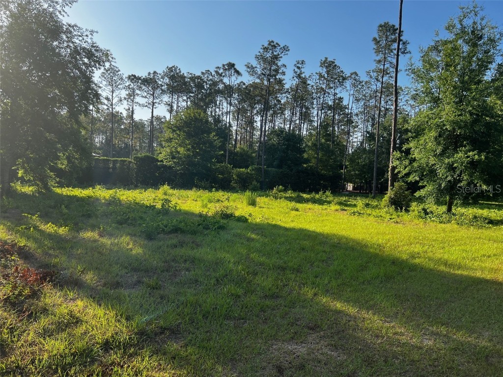 Newberger Lutz FL 33549 TB8388052 image5