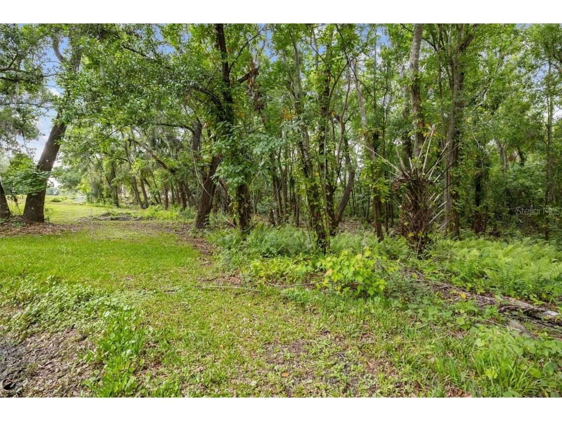 Newman Circle Lakeland FL 33811 P4934485 image1