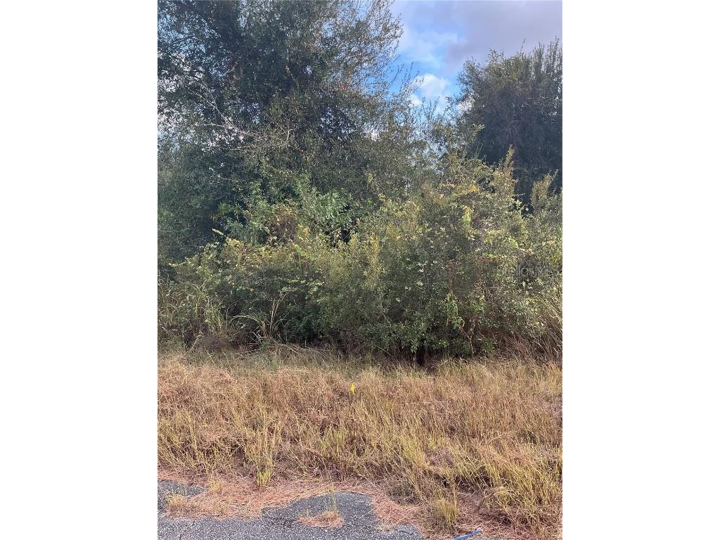 Newman Drive North Port FL 34288 N6141751 image1