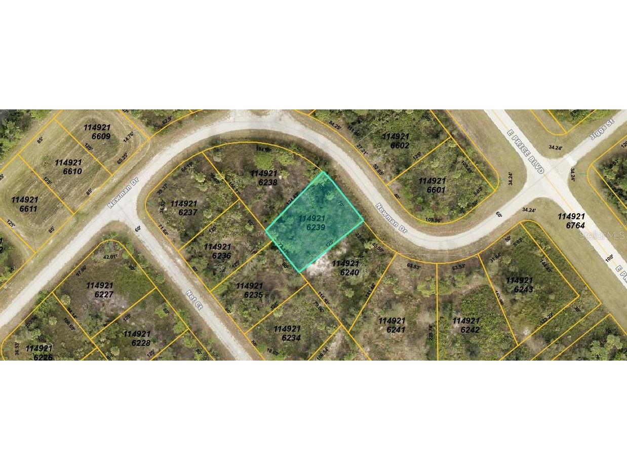 Newman Drive North Port FL 34288 O6230761 image1