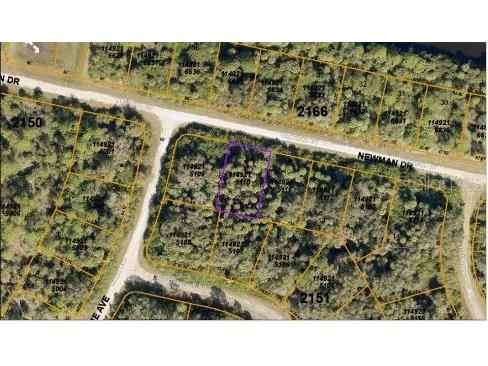 Newman Drive North Port FL 34288 O6231382 image4