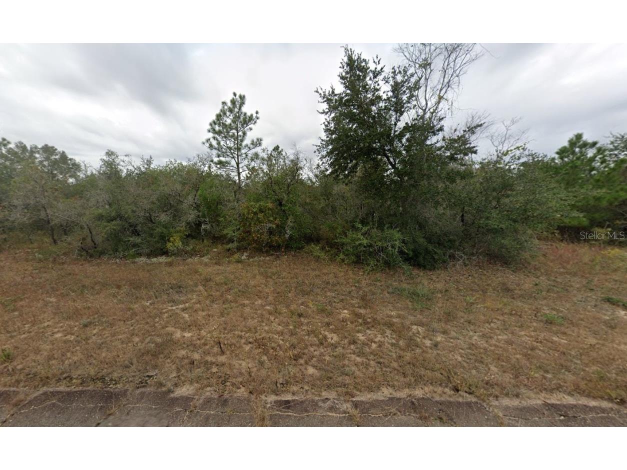 Newmark Avenue #24 Chipley FL 32428 OK225189 image1