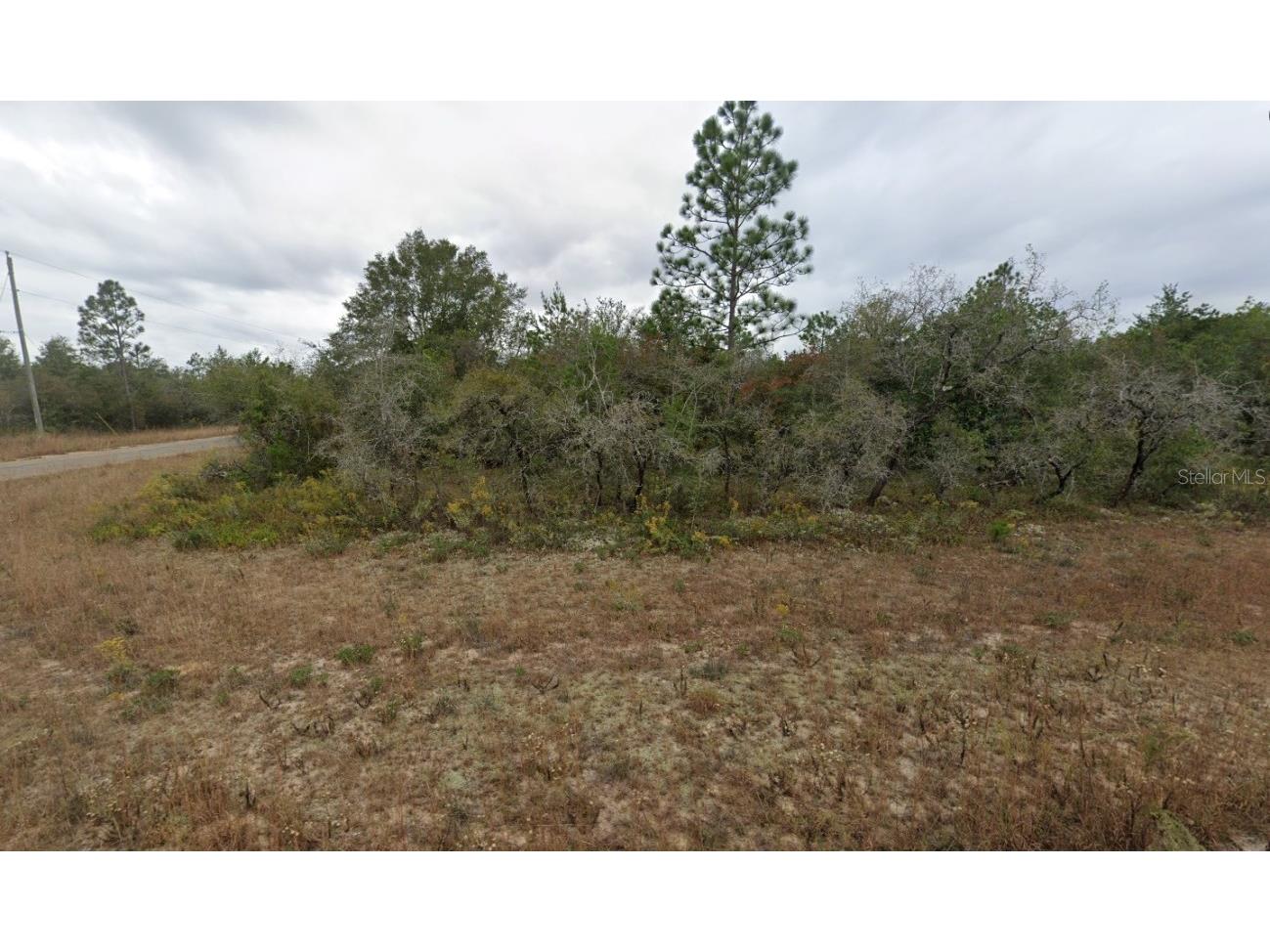 Newmark Avenue #25 Chipley FL 32428 OK225190 image1