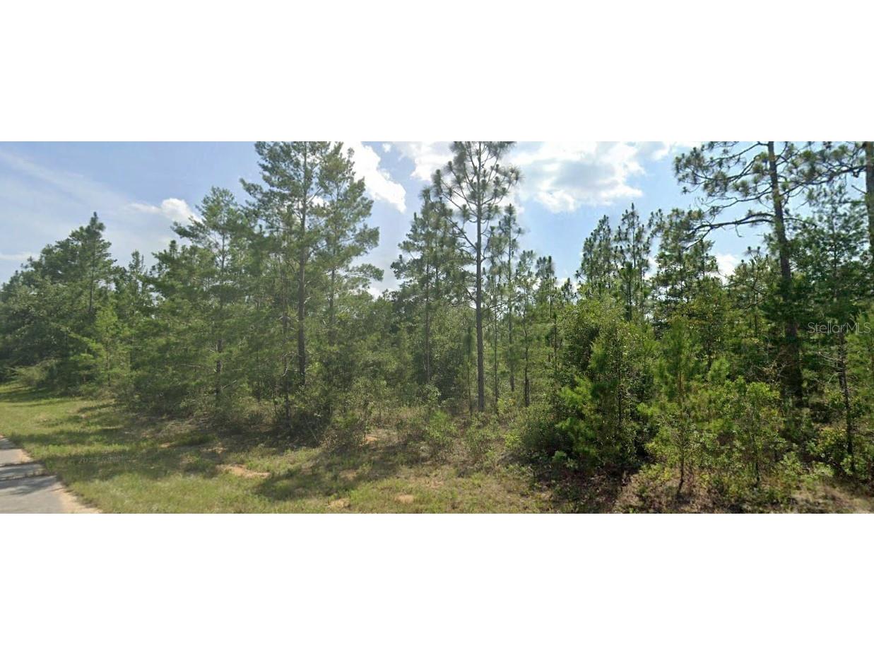 Newmoon Drive Chipley FL 32428 O6231297 image1