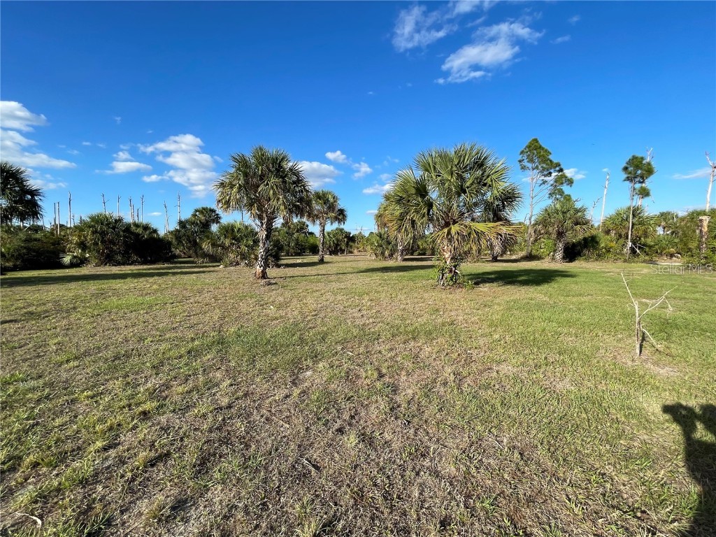 Newwhite Avenue North Port FL 34288 C7457856 image1