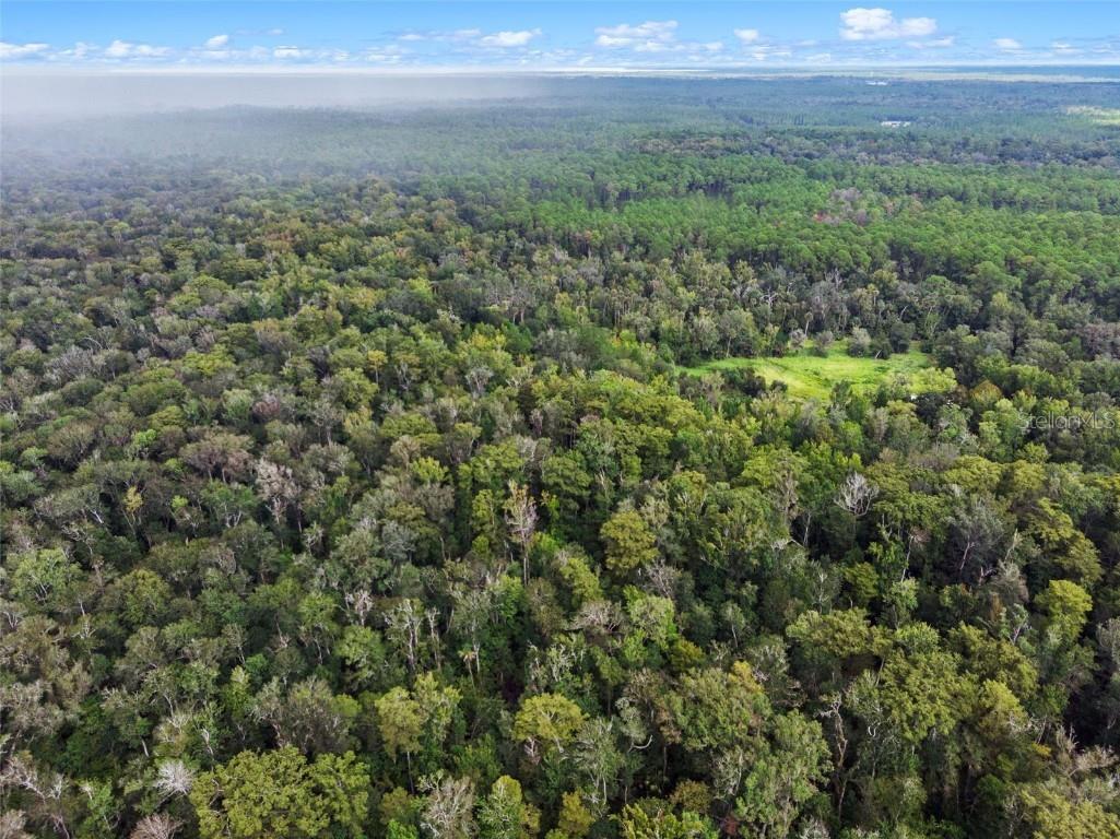 Nfs 73 / Alco Road Astor FL 32102 O6355280 image10