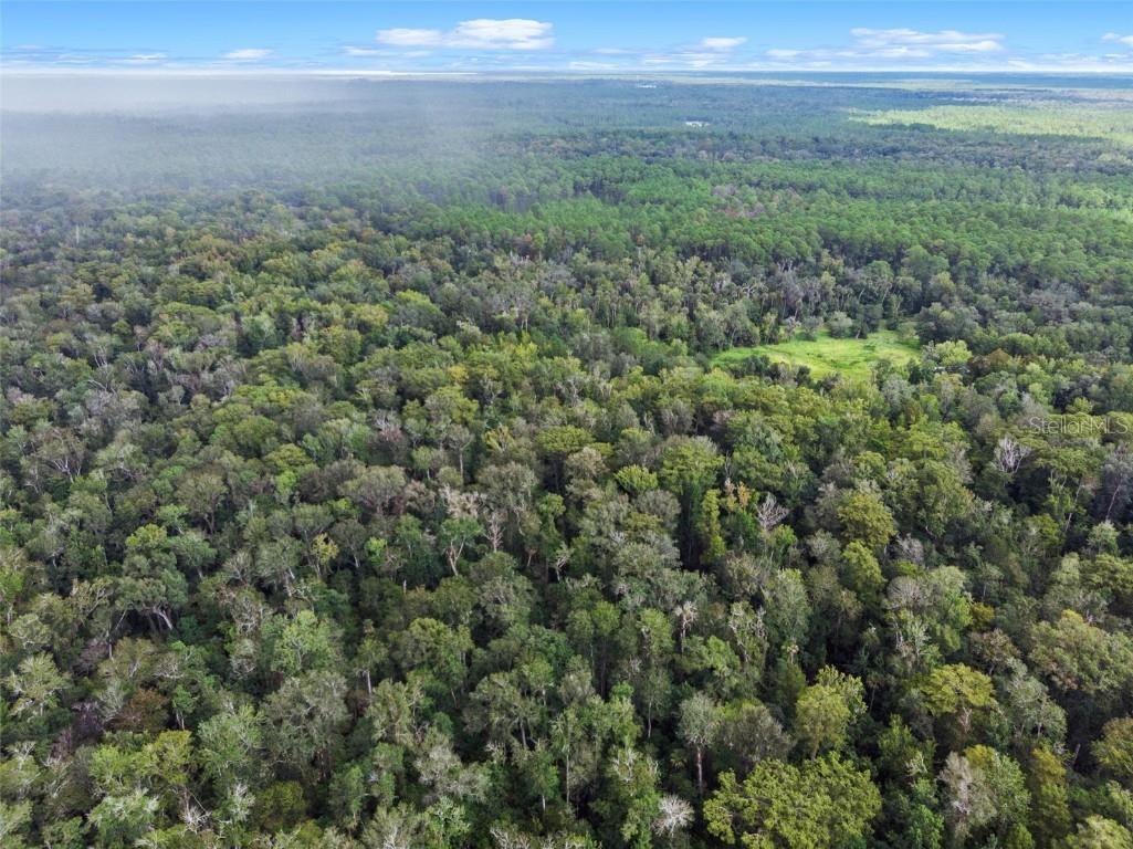 Nfs 73 / Alco Road Astor FL 32102 O6355280 image11