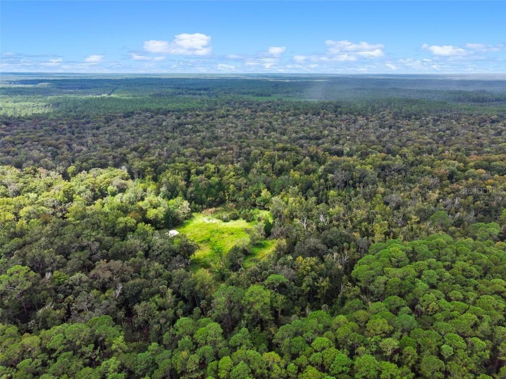 Nfs 73 / Alco Road Astor FL 32102 O6355280 image3