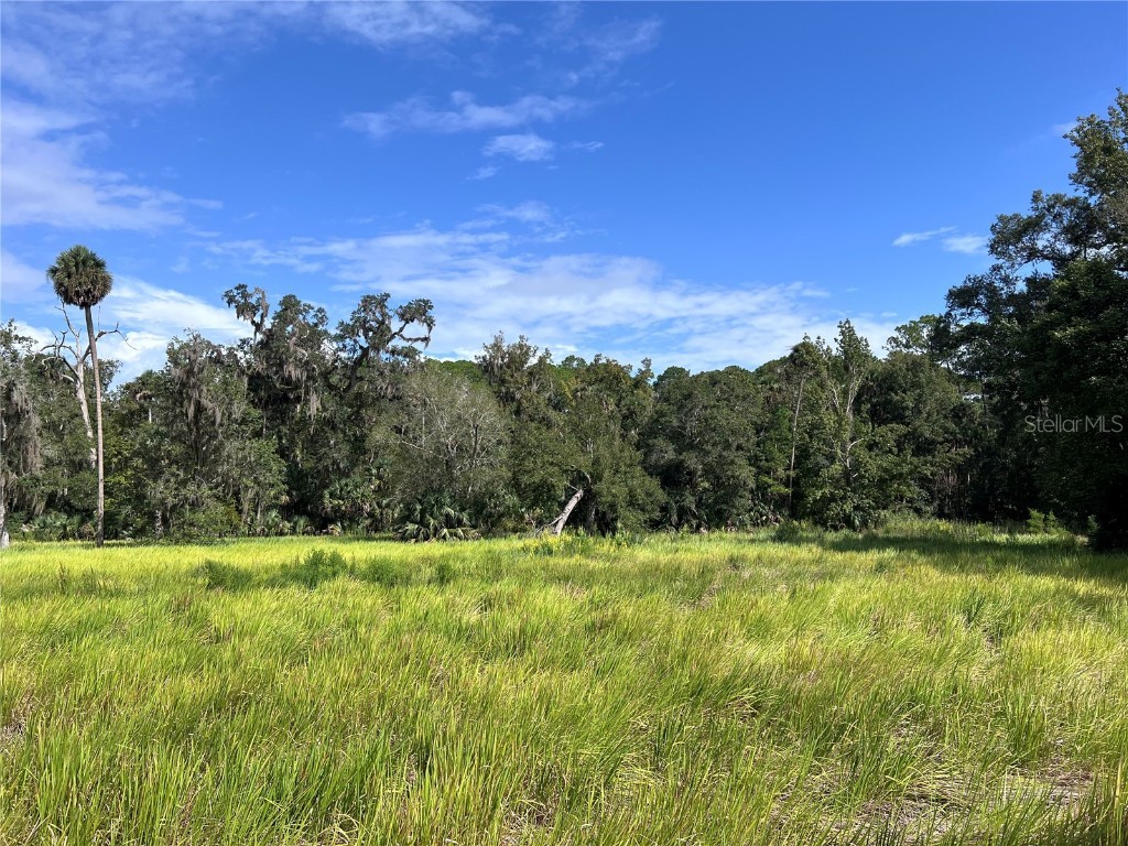 Nfs 73 / Alco Road Astor FL 32102 O6355280 image31