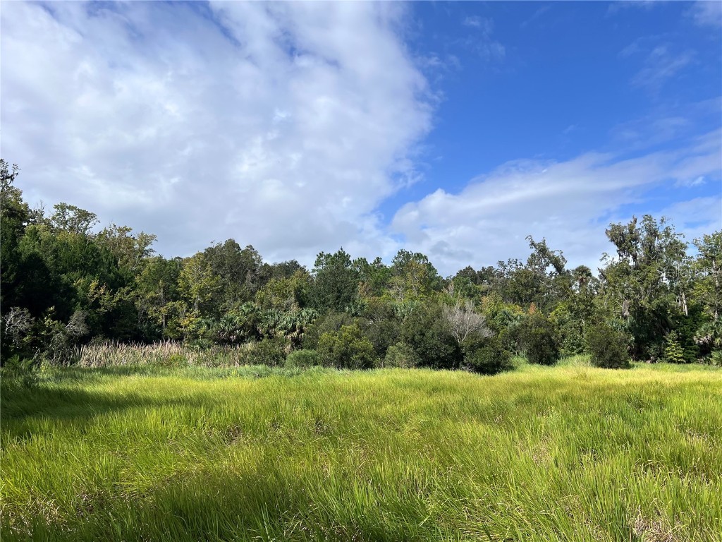 Nfs 73 / Alco Road Astor FL 32102 O6355280 image32