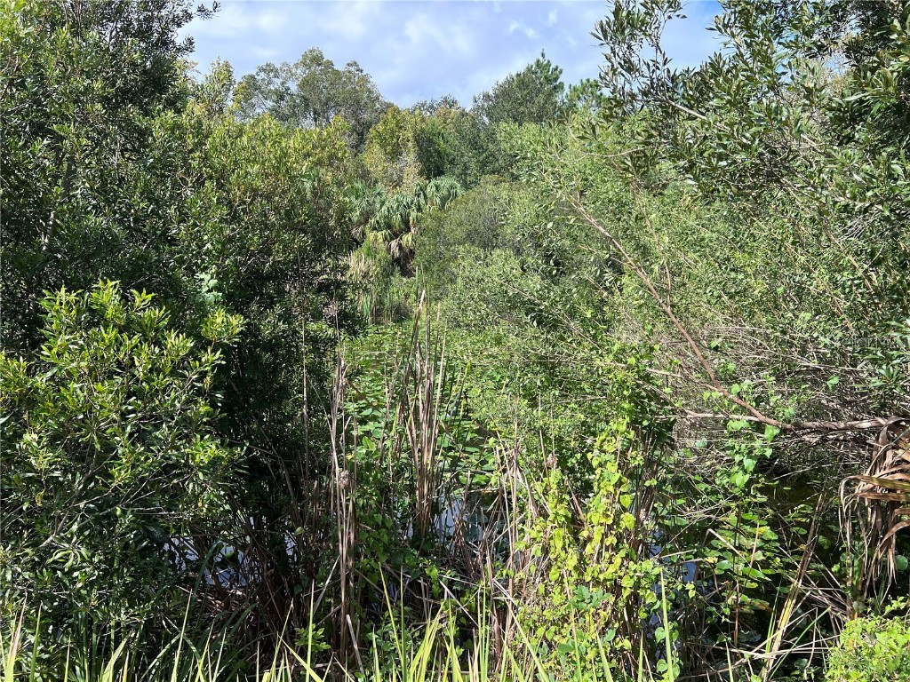 Nfs 73 / Alco Road Astor FL 32102 O6355280 image34