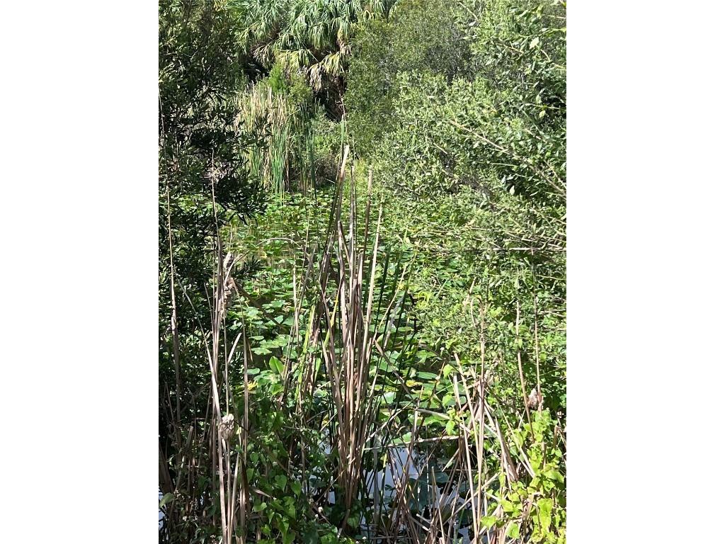 Nfs 73 / Alco Road Astor FL 32102 O6355280 image35