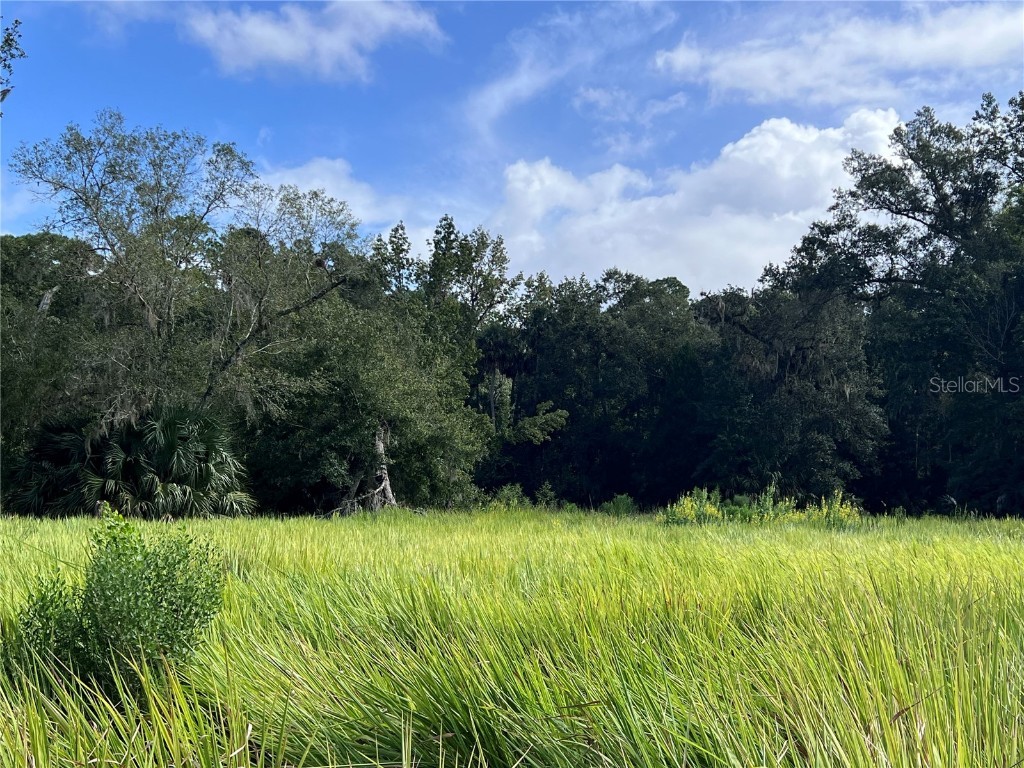 Nfs 73 / Alco Road Astor FL 32102 O6355280 image38