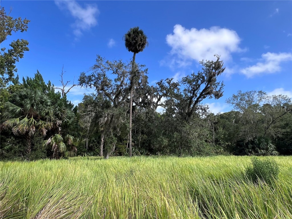 Nfs 73 / Alco Road Astor FL 32102 O6355280 image39