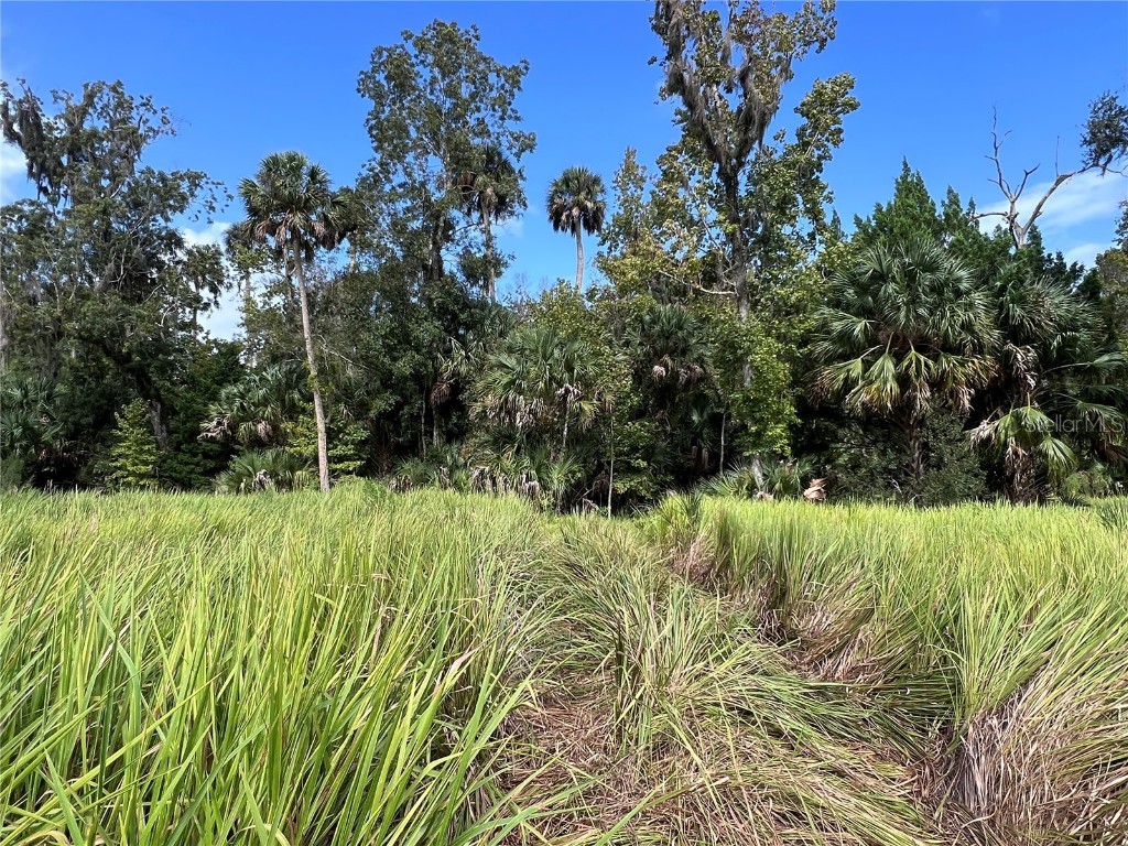 Nfs 73 / Alco Road Astor FL 32102 O6355280 image40