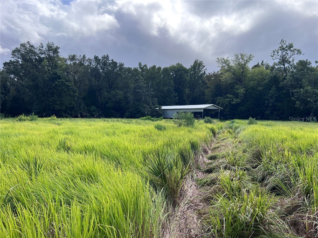 Nfs 73 / Alco Road Astor FL 32102 O6355280 image42