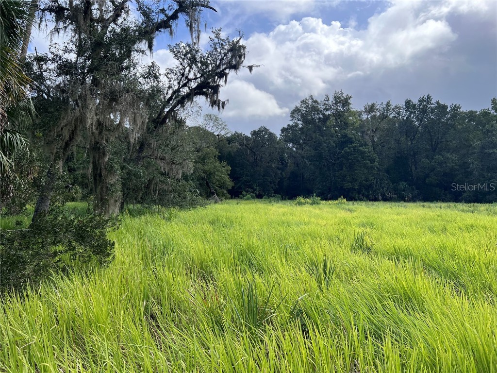 Nfs 73 / Alco Road Astor FL 32102 O6355280 image44