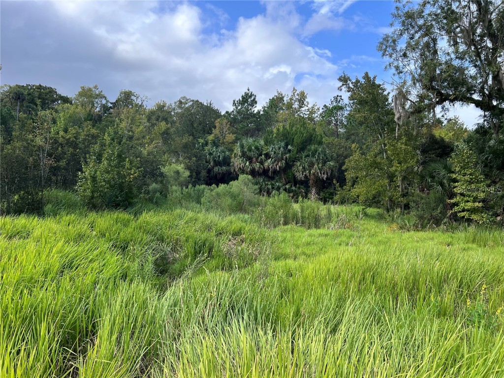 Nfs 73 / Alco Road Astor FL 32102 O6355280 image45