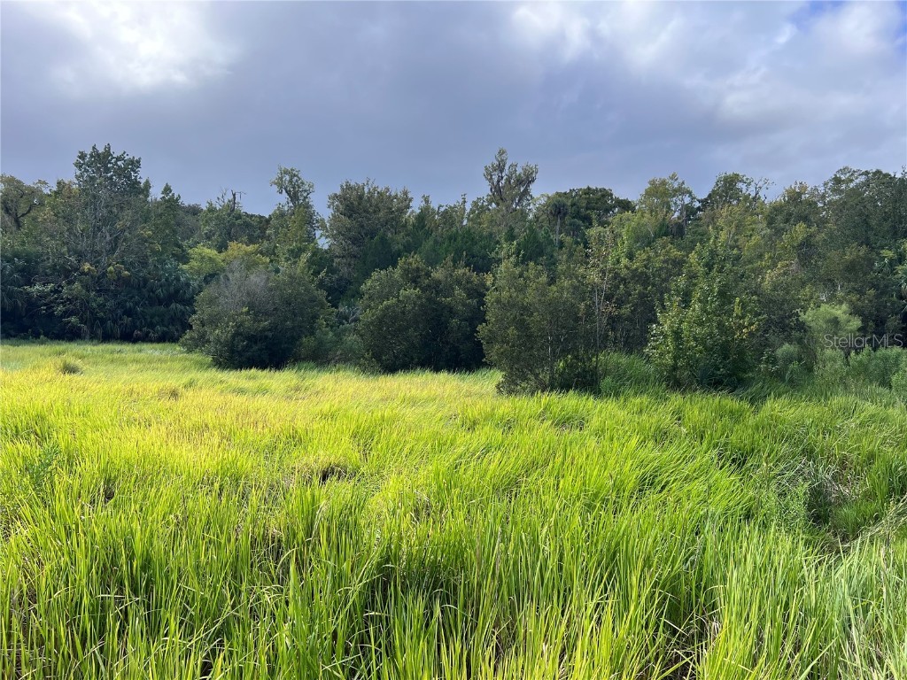 Nfs 73 / Alco Road Astor FL 32102 O6355280 image46