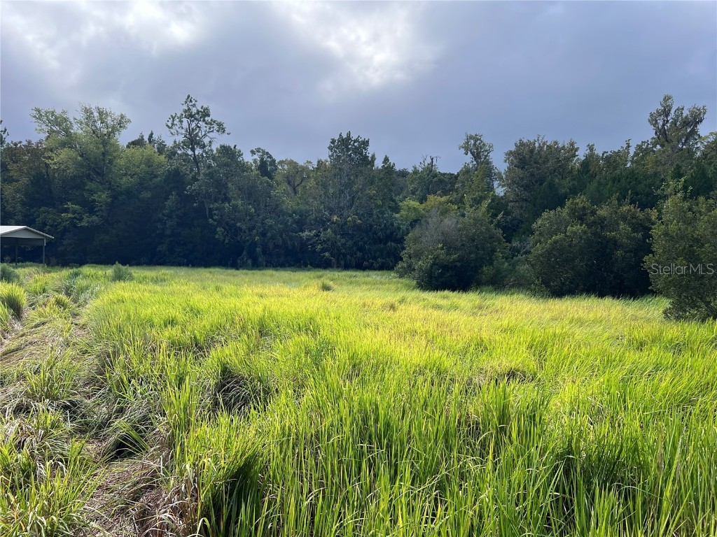 Nfs 73 / Alco Road Astor FL 32102 O6355280 image47