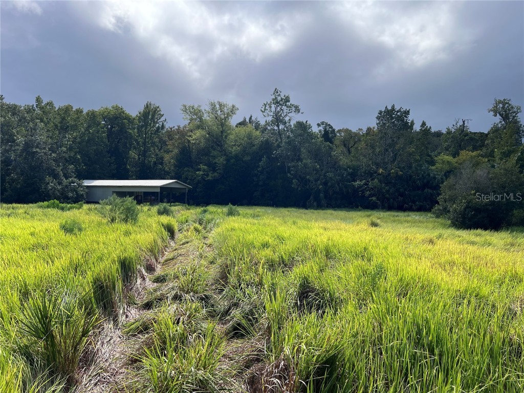 Nfs 73 / Alco Road Astor FL 32102 O6355280 image48