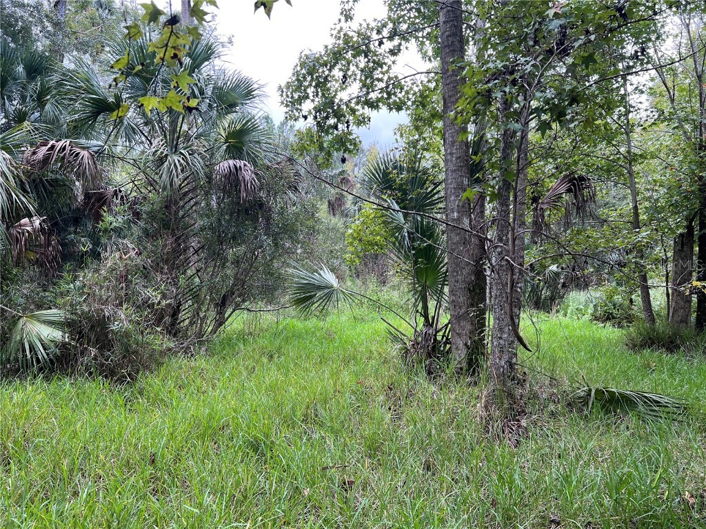 Nfs 73 / Alco Road Astor FL 32102 O6355280 image49