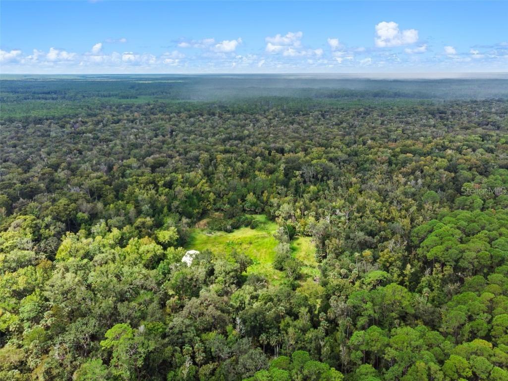 Nfs 73 / Alco Road Astor FL 32102 O6355280 image5