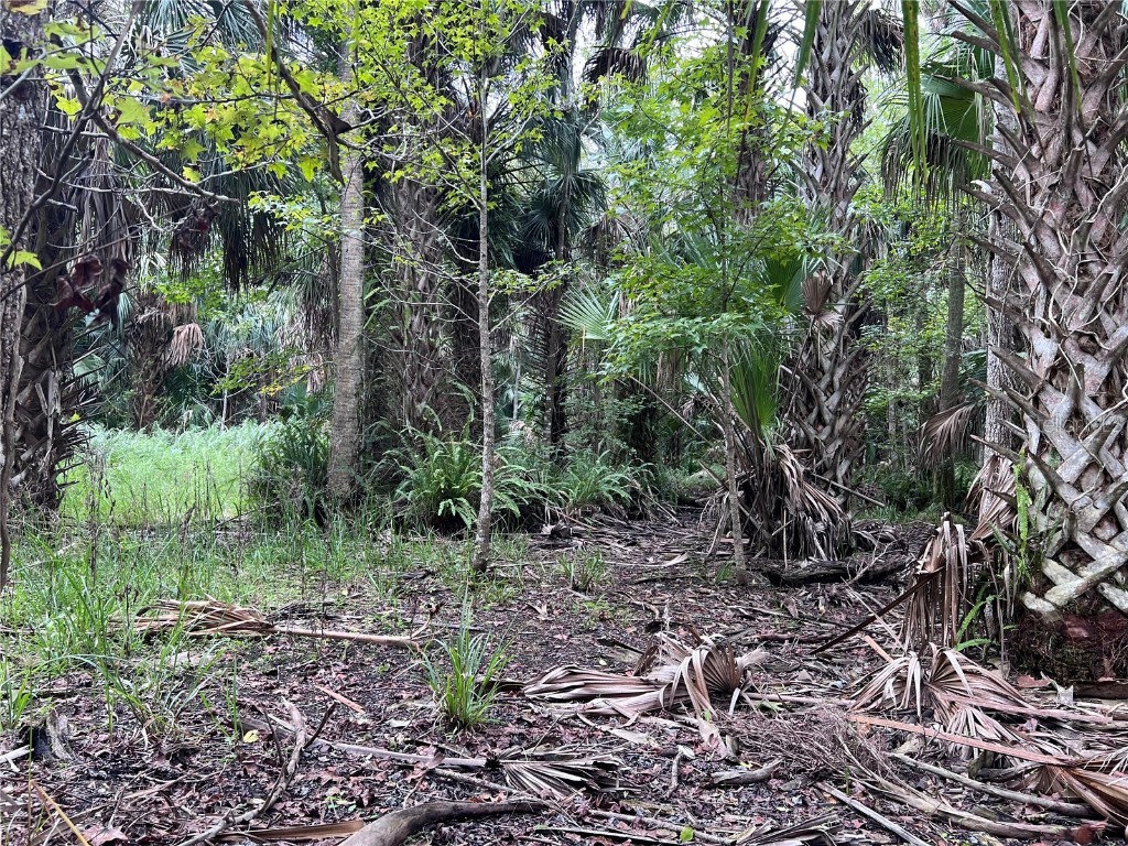 Nfs 73 / Alco Road Astor FL 32102 O6355280 image50