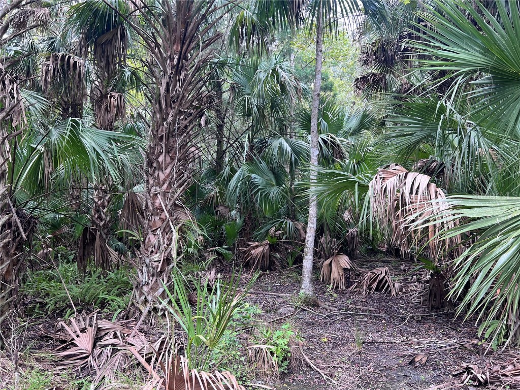 Nfs 73 / Alco Road Astor FL 32102 O6355280 image51