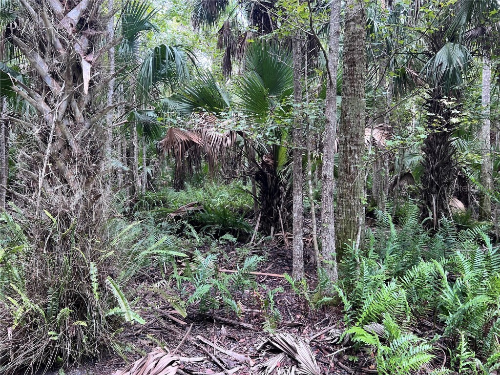 Nfs 73 / Alco Road Astor FL 32102 O6355280 image53