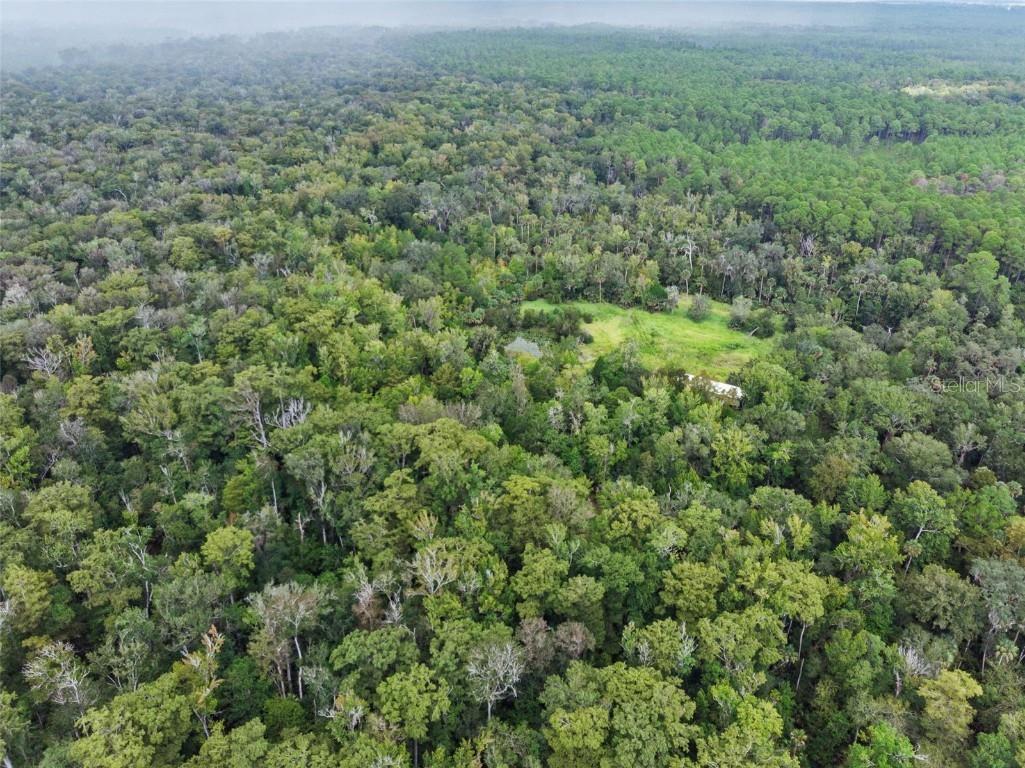 Nfs 73 / Alco Road Astor FL 32102 O6355280 image8