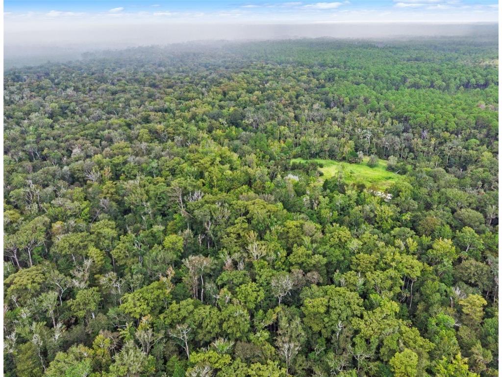 Nfs 73 / Alco Road Astor FL 32102 O6355280 image9