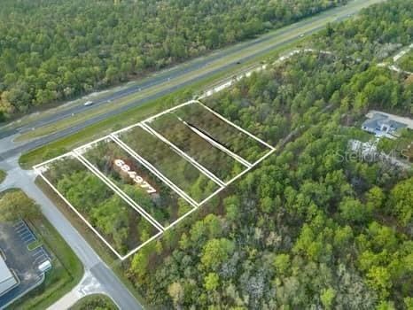 Nicasio Jay Avenue Brooksville FL 34614 TB8393148 image1