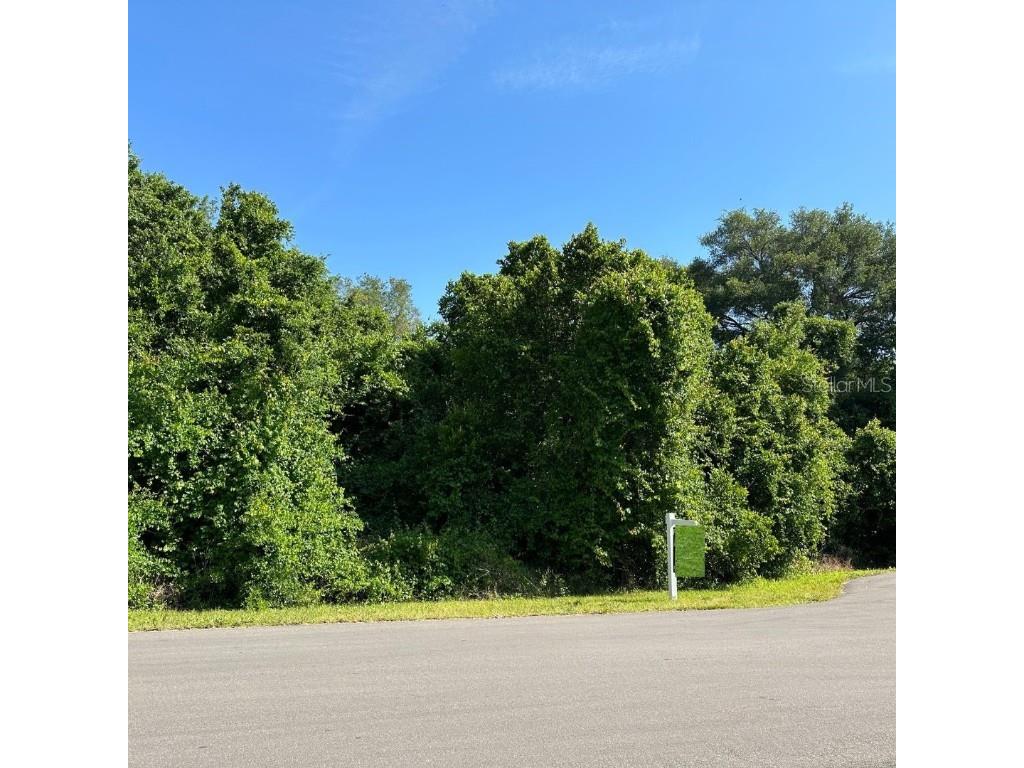 Nicole Avenue Kissimmee FL 34744 O6195966 image1