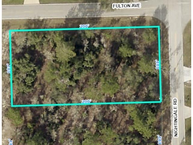 Nightingale Road Weeki Wachee FL 34613 T3463748 image1
