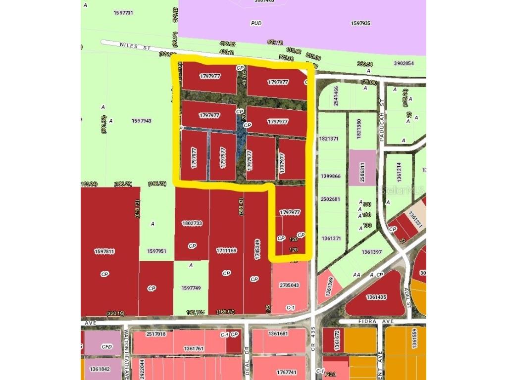 Niles Street Mount Plymouth FL 32776 G4850606 image1