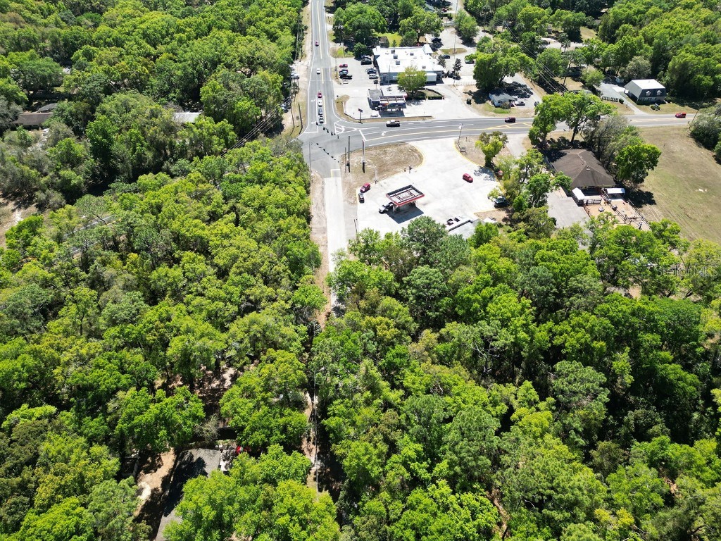 Niles Street Mount Plymouth FL 32776 O6096375 image10