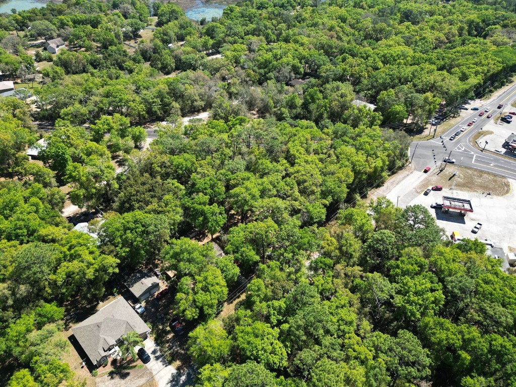 Niles Street Mount Plymouth FL 32776 O6096375 image11