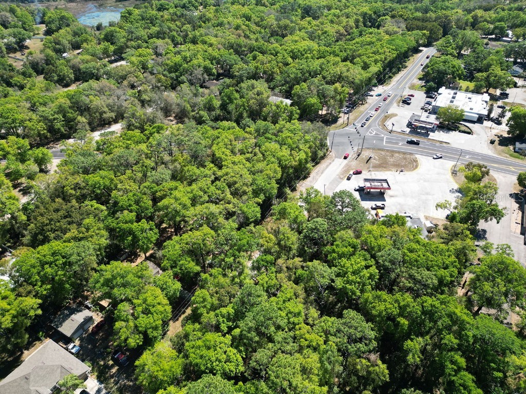 Niles Street Mount Plymouth FL 32776 O6096375 image12