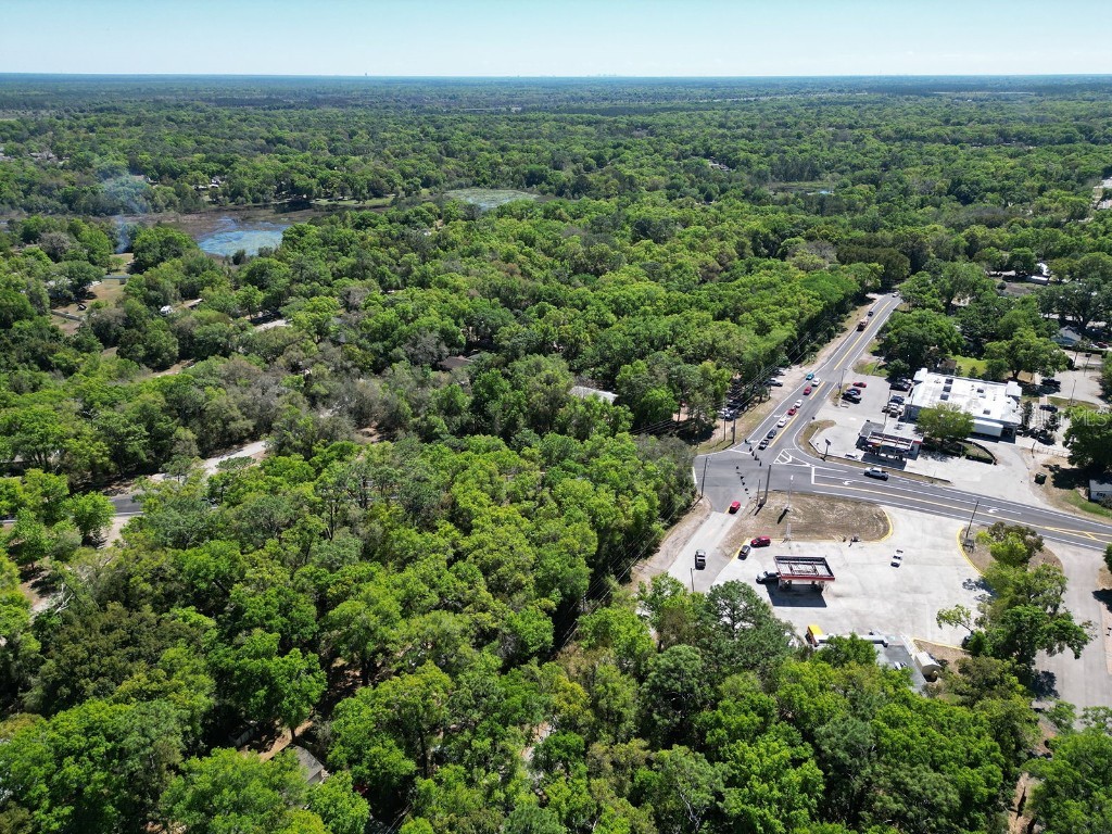 Niles Street Mount Plymouth FL 32776 O6096375 image13