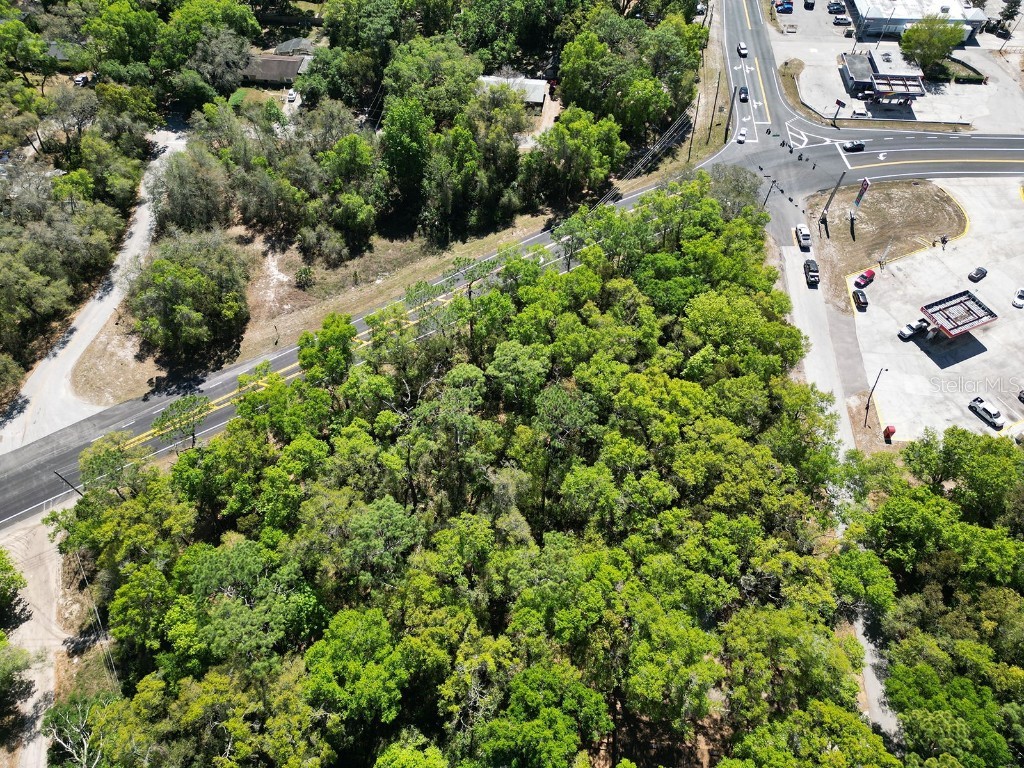 Niles Street Mount Plymouth FL 32776 O6096375 image2