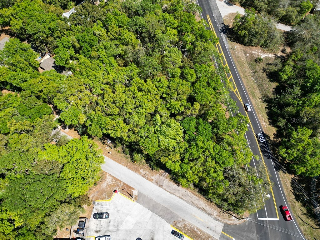 Niles Street Mount Plymouth FL 32776 O6096375 image5