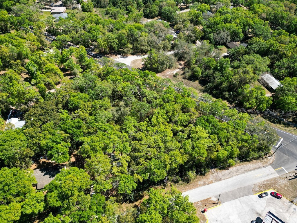 Niles Street Mount Plymouth FL 32776 O6096375 image7