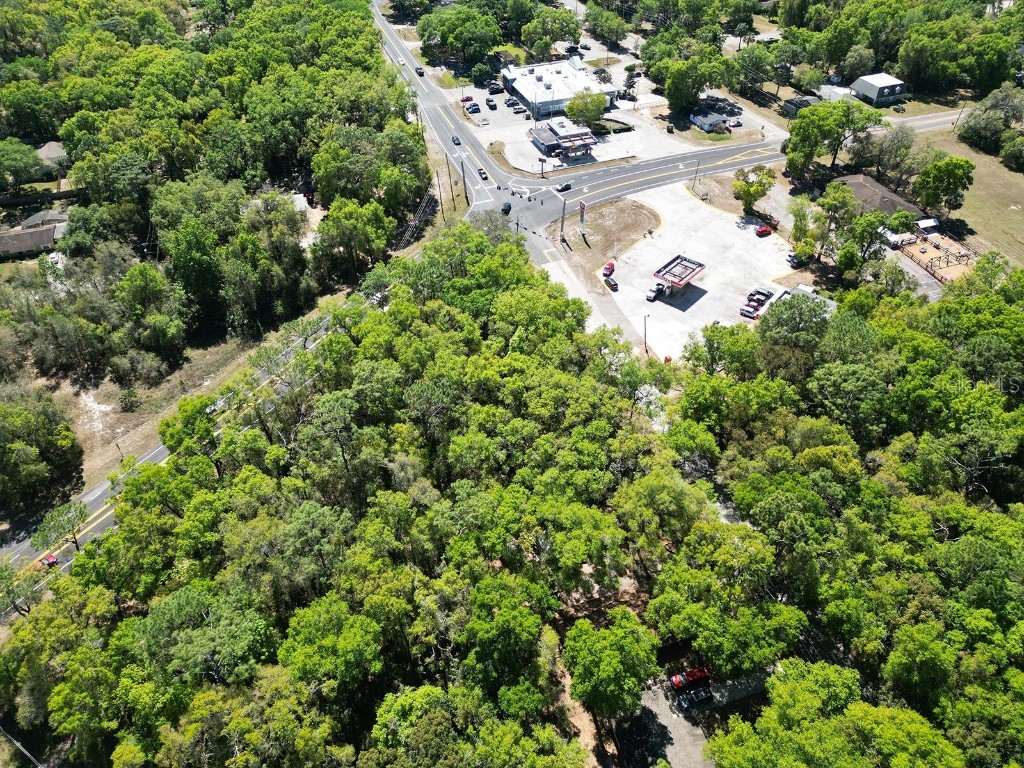 Niles Street Mount Plymouth FL 32776 O6096375 image9