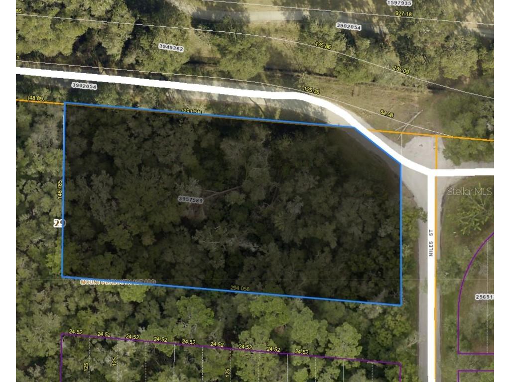 Niles Street Sorrento FL 32776 G5100671 image1