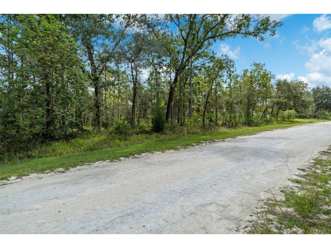 Nimick Road Brooksville FL 34614 W7858498 image1