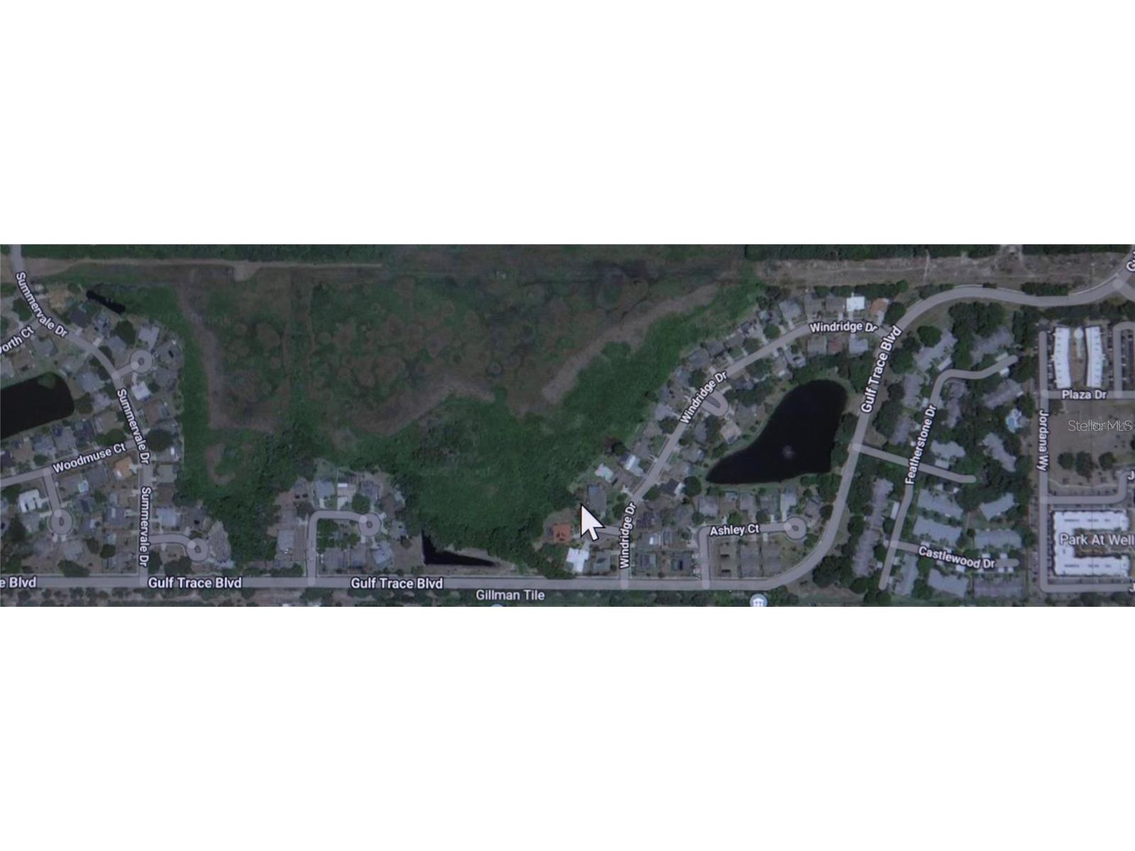 No Address Assigned Holiday FL 34691 W7883129 image3