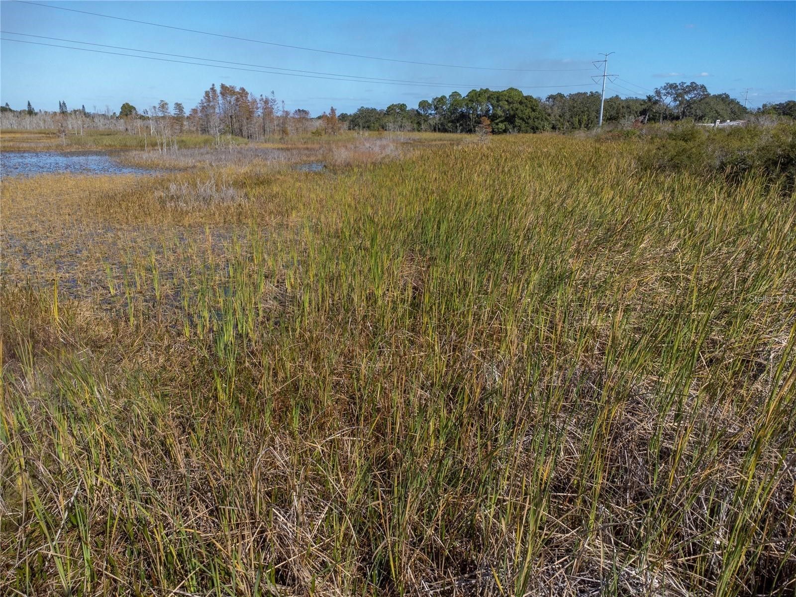 No Address Assigned Holiday FL 34691 W7883129 image4